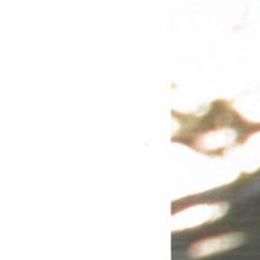 Photo de Conchita V. Gullaba, avis de décès