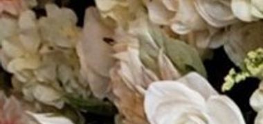 Erlinda Illona Musick