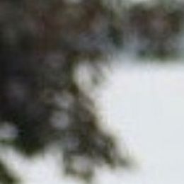 Photo de Giuseppe Montalto, avis de décès