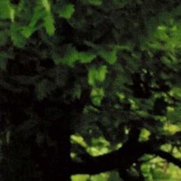 Photo de Gordon Merrifield, avis de décès