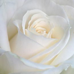 iLTq5nX0SIIMz5YlI8LucHpwxNi6ZcJ2gVcbl3jZ