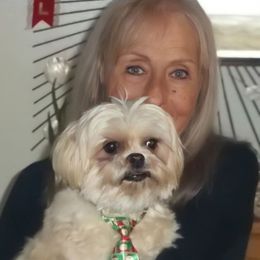 HzdRD10pShz1i6lZap19ceoWw2UAASxriD0DTlor