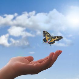 5wgVVk7FWozkepr1yt00f7ro1DmfnGxEeMLPLCBU