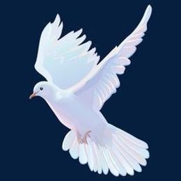 Photo of Celine Sandoval Barbosa, obituary in Austin
