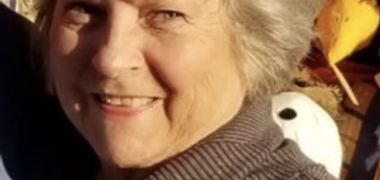 Sue Ann Lewis