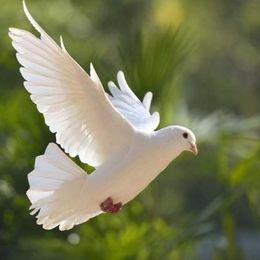 eZ5taERea7WzyRVha5cnmE1cNiW6Xkp3adOigPzV