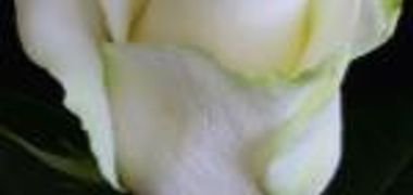 Jean-Baptiste Riendeau