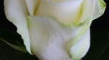 Jean-Baptiste Riendeau