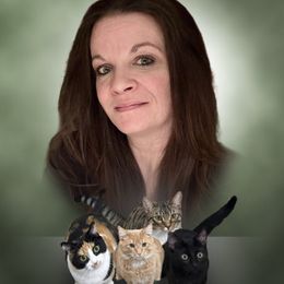 TmgM8uVekQhA7MQK2S5SGFkU5oiG19osfz1d1gmh