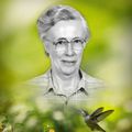 Helen Doddridge Watson