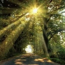 LCXDc5pDJ6RV6yAu6k8za1LX5VMu7MTScEPSC2fC