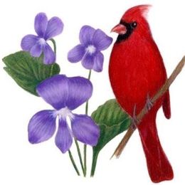 Photo of Nora Ruth Elizabeth Reed, obituary