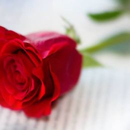 HsPx4HH7XRGjq4Sd2PWC9DRRtzDLvAKm5HcV69PA