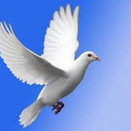 rzdpVmFq8KgOsmtLXWjuPRCtWBNoPXGaioxpXzuK