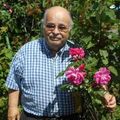 Alain Leduc