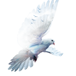 KgUK3LuyiPN8NrF4EsLggdtjKuNZQZHHlKh9e16n