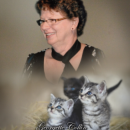 CzBogneWLg5imdZhPKYAToIYdom8wapX0ATmRDqM