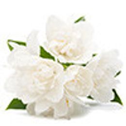 Ub8nI82hqZdy0RChFGIkpRyOMje6DZspvIjbV2fK