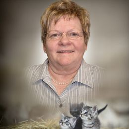 cQ3cusjYQqsTNTSREmFQtaSepFQn75qcvUYvz8ti