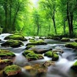 fKHrkZUVmIWD44NAjT4aX51lSVMedPh397MfyUKl