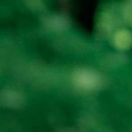 6zolUv5XOqECaMTBhWyIcZsucInJ9ld0LRiDxGRr