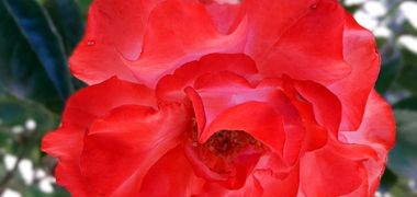 Joyce Marie Heidt