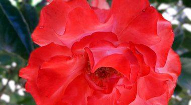 Joyce Marie Heidt