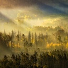 Photo de Gary Brent Welander, avis de décès à Alma