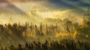 Gary Brent Welander