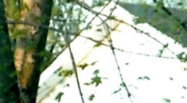 Peggy Ann Biles