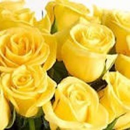 Photo of Jeanette Louise Vander Meer, obituary