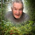 Raymond Huard