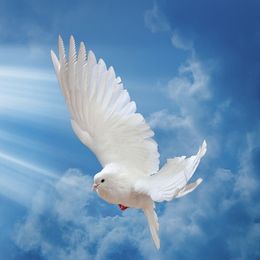 Photo of Maryann Christiana Montour (née Dreas), obituary in Kahnawake