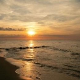 Photo of Richard J. Padua, obituary in Dundee