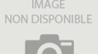 ELISABETH WOERNER