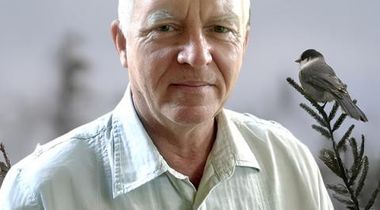 Gilles Imbeau