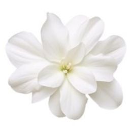 Photo of Negdar Victoria Chiranian, obituary