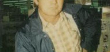 Ansel Harrison Johnson Jr.