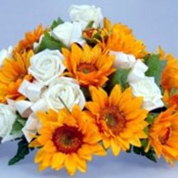 Photo of Angela Aparicio, obituary in Irlande