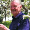 Réal Morin