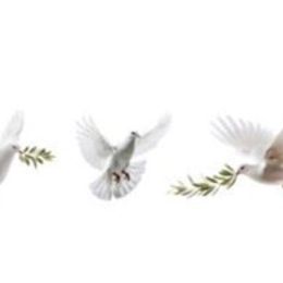 Photo of Clara C. Aguilera, obituary