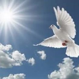 Photo of Rita Maria Fernandez Marin, obituary