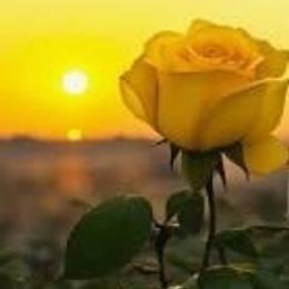 Photo of Dennes Edward Numsen, obituary