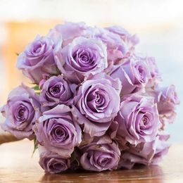 Photo of Sally F. Villalpando, obituary