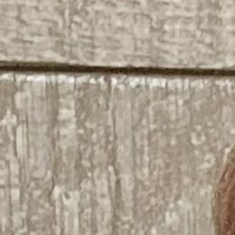 Photo of Helen Pauline Marcomin, obituary