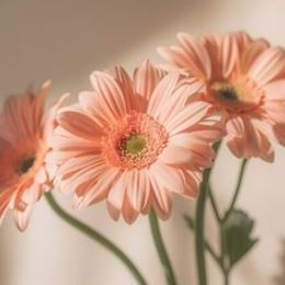 Photo of Eileen Keyes, obituary