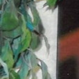 Photo of Louise LaVerne Toney, obituary