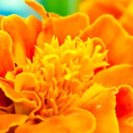 Photo of Mary Margaret Lorenzen, obituary