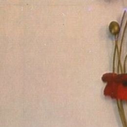 Photo of Shirley Lorraine Coté, obituary