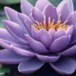 Photo of Margie M Hartling, obituary